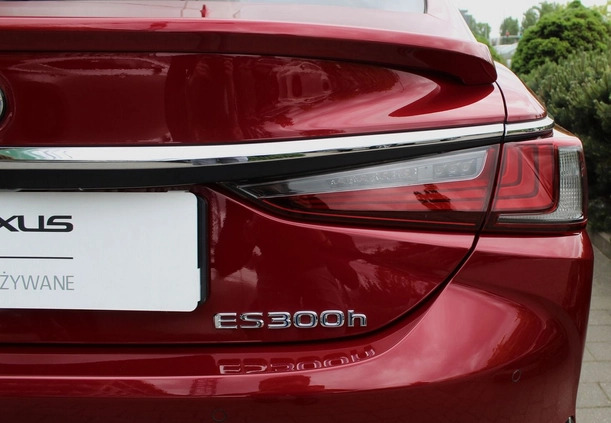 Lexus ES cena 160000 przebieg: 70250, rok produkcji 2019 z Ząbkowice Śląskie małe 466